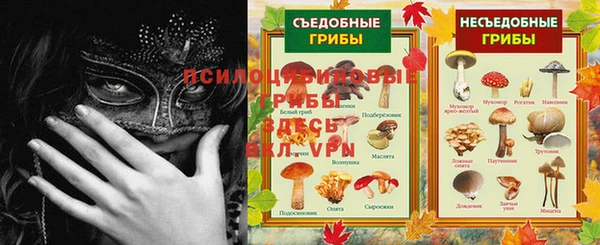 ALPHA-PVP Корсаков