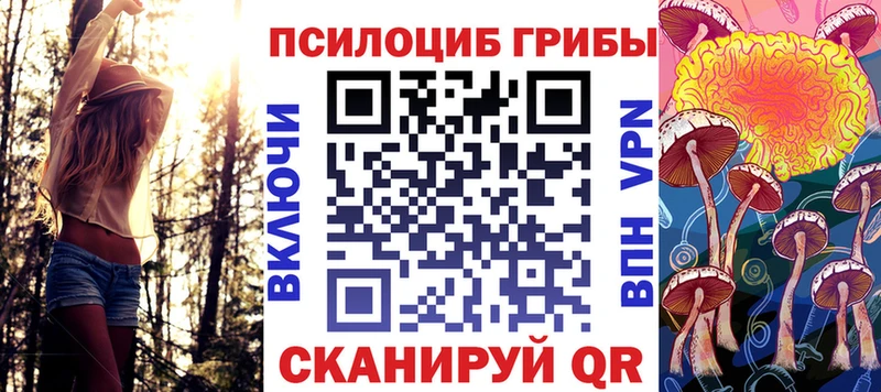 Галлюциногенные грибы прущие грибы  Купить  Алексеевка 